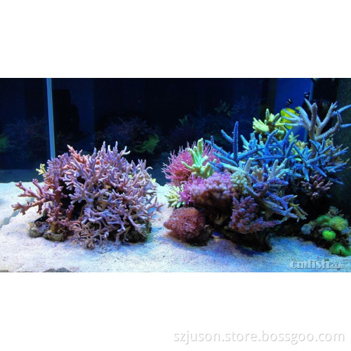 AQL-2X-28W High Power High Quality Long Lifespan and Low Price LED Aquarium Light for fish tank